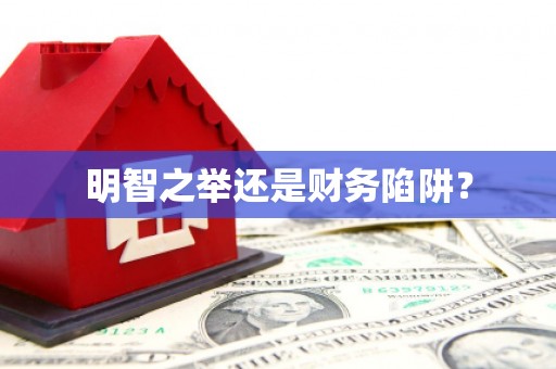 盖州明智之举还是财务陷阱？