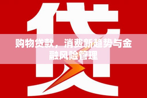 南陵购物贷款，消费新趋势与金融风险管理