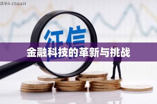 洛扎金融科技的革新与挑战