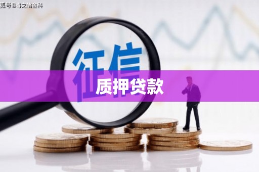 湾仔区质押贷款
