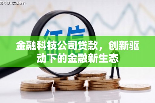 大堂金融科技公司贷款，创新驱动下的金融新生态