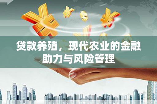 共和贷款养殖，现代农业的金融助力与风险管理