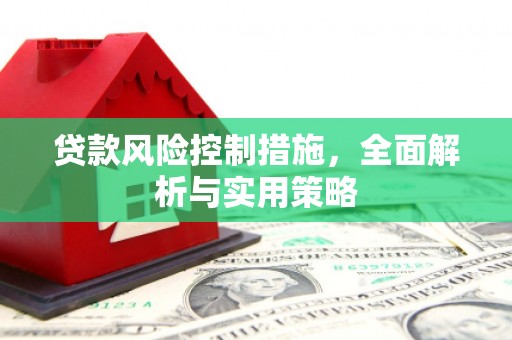 太子河贷款风险控制措施，全面解析与实用策略