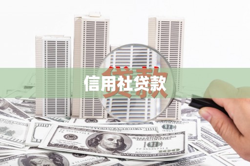 宽甸信用社贷款
