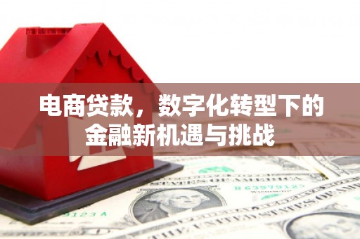 灌阳电商贷款，数字化转型下的金融新机遇与挑战