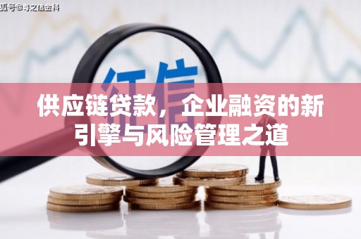 德清供应链贷款，企业融资的新引擎与风险管理之道