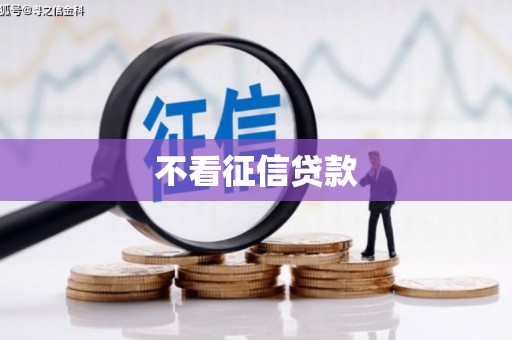 海东不看征信贷款