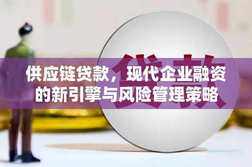 丽水供应链贷款，现代企业融资的新引擎与风险管理策略