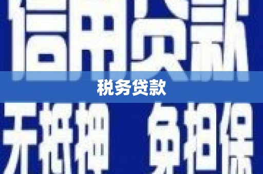 莎车税务贷款