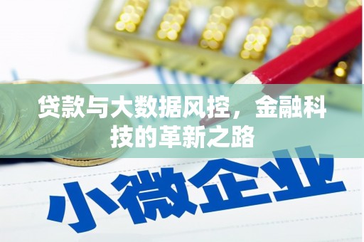 青羊贷款与大数据风控，金融科技的革新之路