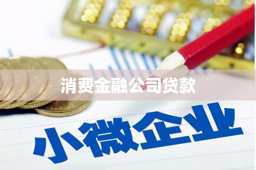 鸟松消费金融公司贷款