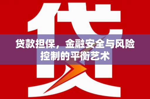昭阳贷款担保，金融安全与风险控制的平衡艺术