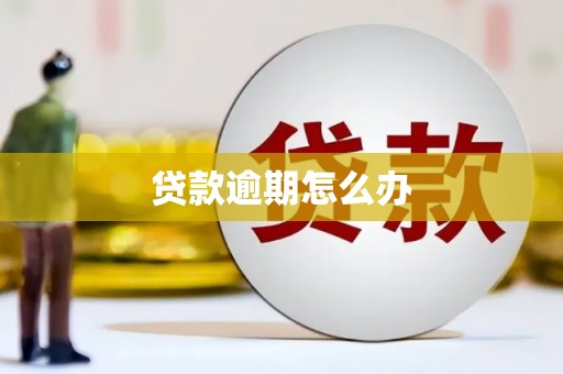 班玛贷款逾期怎么办