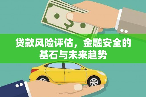 嘉禾贷款风险评估，金融安全的基石与未来趋势