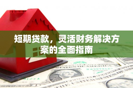 外埔短期贷款，灵活财务解决方案的全面指南