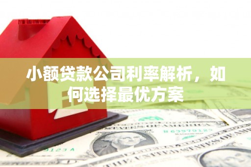 江东小额贷款公司利率解析，如何选择最优方案