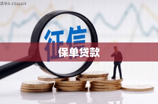 城厢保单贷款
