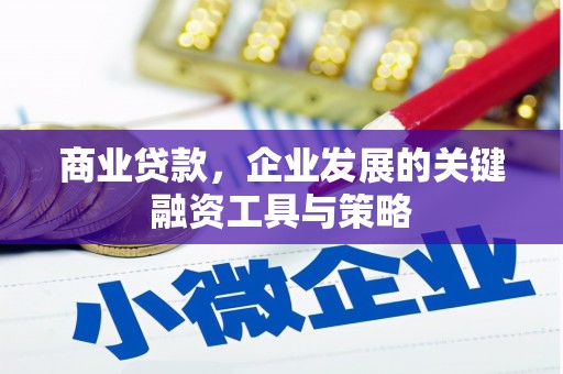 淮阳商业贷款，企业发展的关键融资工具与策略