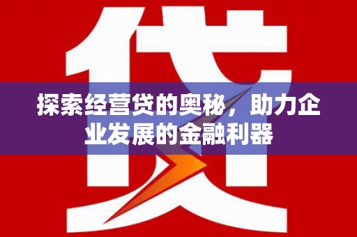 墨江探索经营贷的奥秘，助力企业发展的金融利器