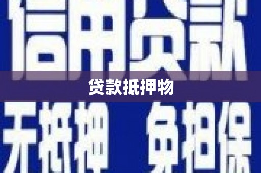 水林贷款抵押物