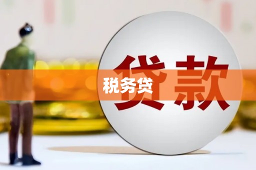 港南税务贷