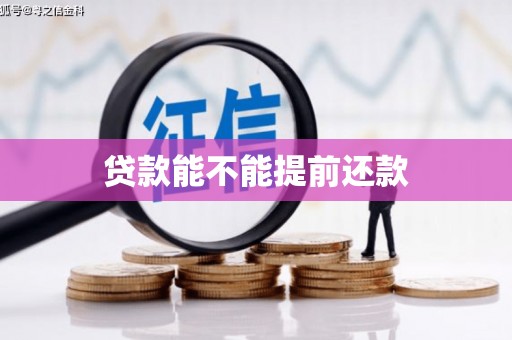 沧源贷款能不能提前还款