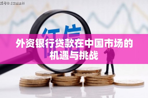 南海外资银行贷款在中国市场的机遇与挑战