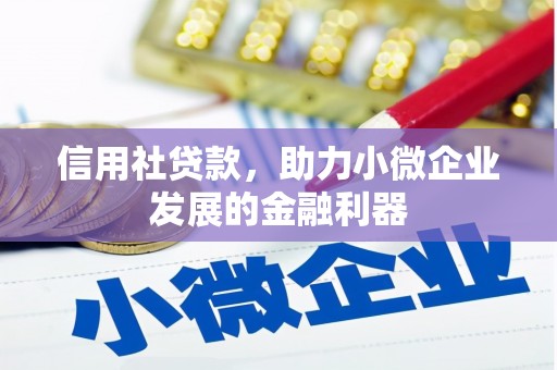 永寿信用社贷款，助力小微企业发展的金融利器