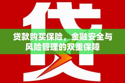 呼和浩特贷款购买保险，金融安全与风险管理的双重保障