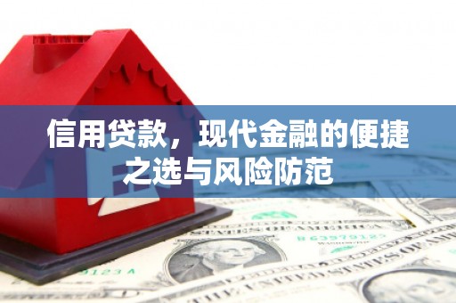 沈河信用贷款，现代金融的便捷之选与风险防范