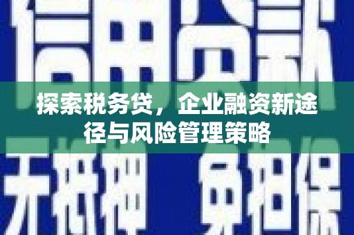 花都探索税务贷，企业融资新途径与风险管理策略