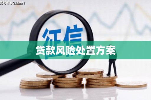 张北贷款风险处置方案