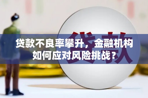 西吉贷款不良率攀升，金融机构如何应对风险挑战？