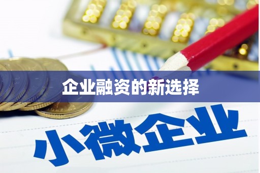 桃山企业融资的新选择