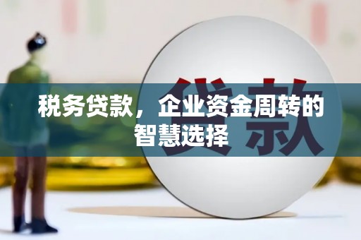 新建税务贷款，企业资金周转的智慧选择