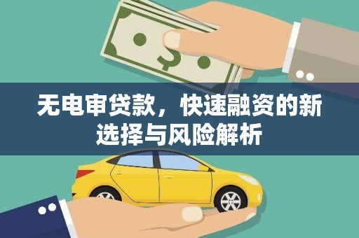 临海无电审贷款，快速融资的新选择与风险解析
