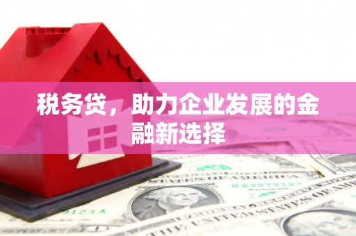 山阴税务贷，助力企业发展的金融新选择