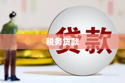 从江税务贷款