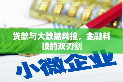 和平贷款与大数据风控，金融科技的双刃剑