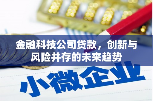 中区金融科技公司贷款，创新与风险并存的未来趋势