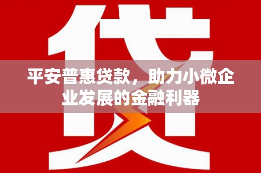 平川平安普惠贷款，助力小微企业发展的金融利器