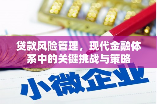 无极贷款风险管理，现代金融体系中的关键挑战与策略