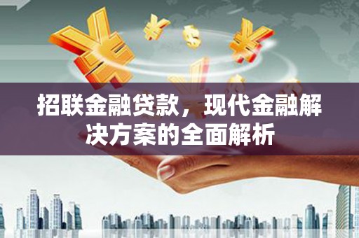 乌什招联金融贷款，现代金融解决方案的全面解析