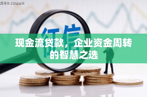 马龙现金流贷款，企业资金周转的智慧之选