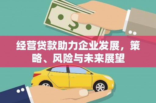 芦溪经营贷款助力企业发展，策略、风险与未来展望