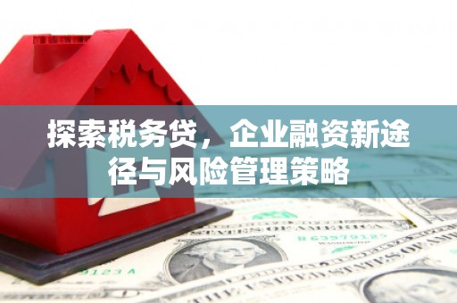 狮子山探索税务贷，企业融资新途径与风险管理策略