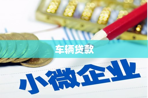 泾县车辆贷款