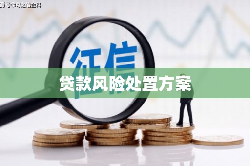 昌都贷款风险处置方案