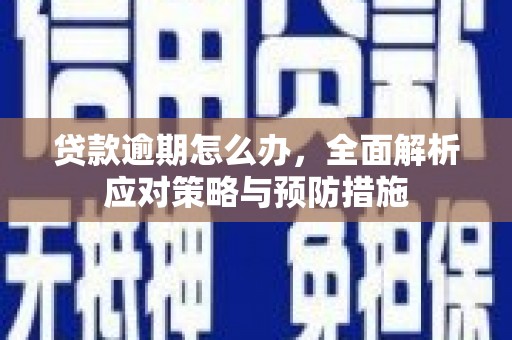 沿滩贷款逾期怎么办，全面解析应对策略与预防措施