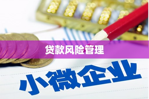 麦寮贷款风险管理